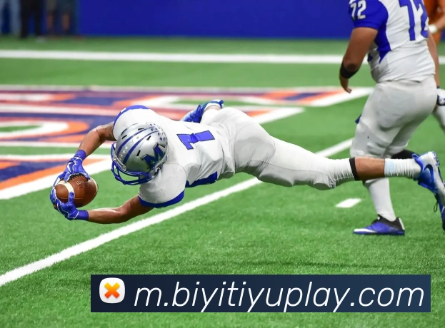 必一体育APP 封面图